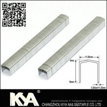 Piématique galvanisé Stcr 5019 Series Staples